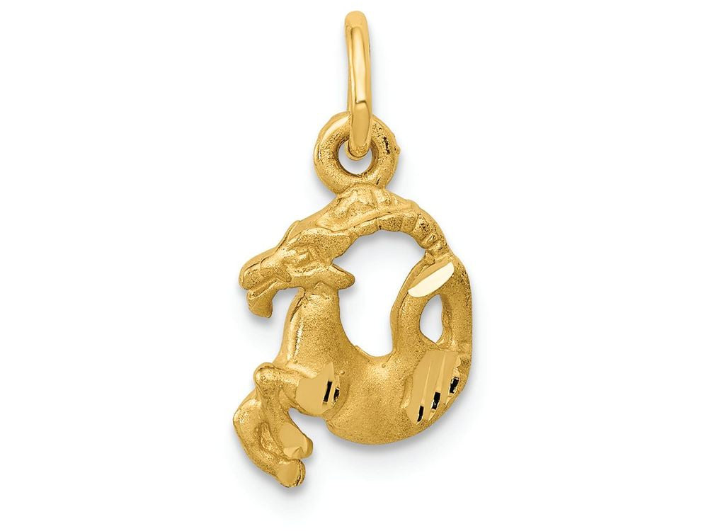 FJC Finejewelers 14k Yellow Gold Capricorn Zodiac Charm
