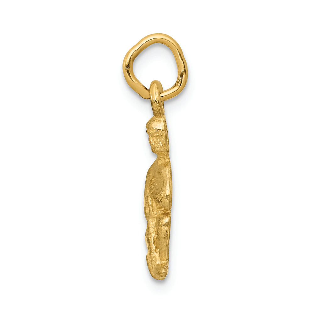 FJC Finejewelers 14k Yellow Gold Aquarius Zodiac Charm