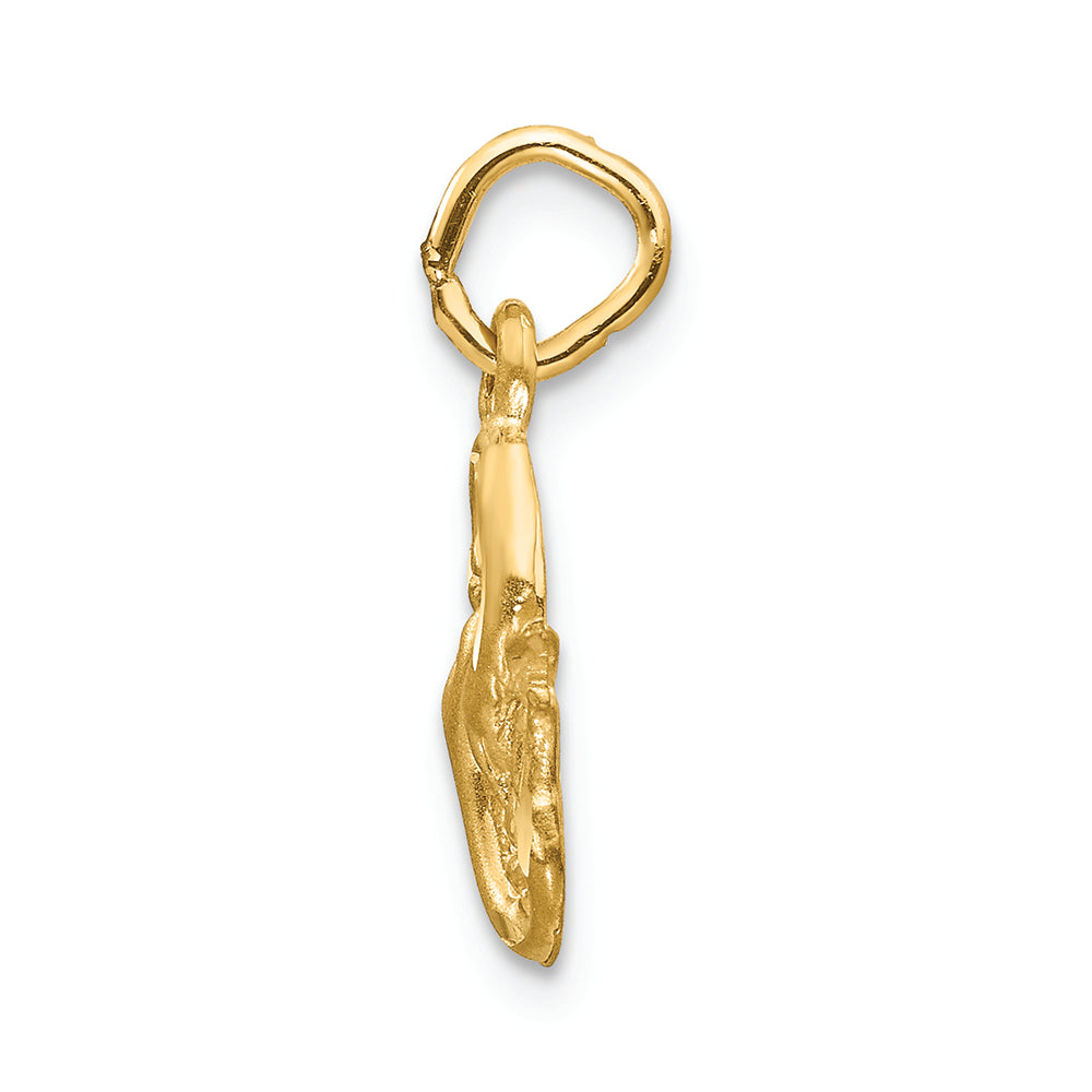 FJC Finejewelers 14k Yellow Gold Pisces Zodiac Charm