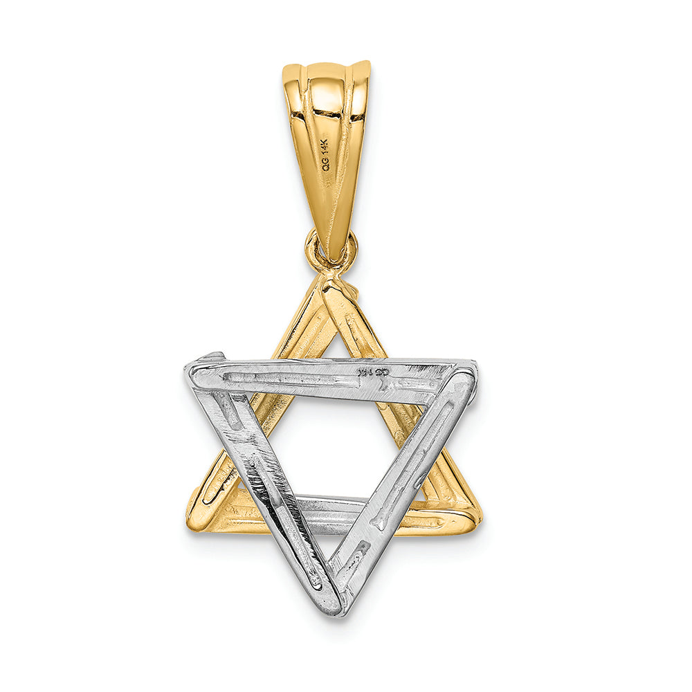 FJC Finejewelers 14k Two-tone Gold Star Of David Charm