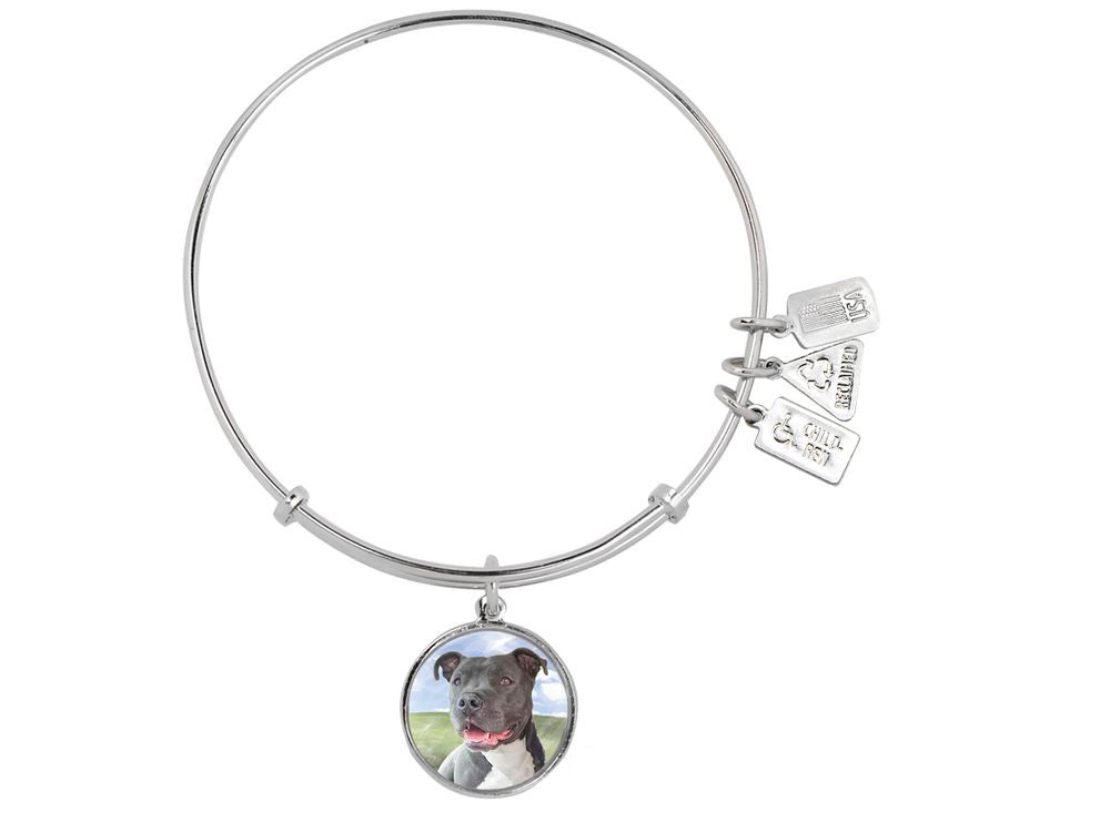 Wind And Fire Pet Collection Expandable Bangle With Pit Bull Terrier Photo Charm