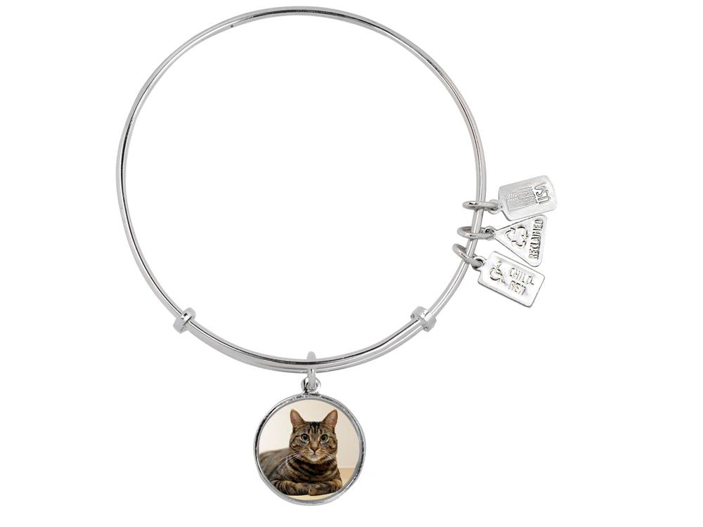Wind And Fire Pet Collection Expandable Bangle With Tabby Cat Photo Charm