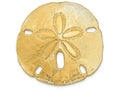 FJC Finejewelers 14k Yellow Gold Polished Fits Up To 10mm 8mm Medium Sand Dollar Slide Charm