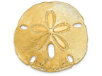 FJC Finejewelers 14k Yellow Gold Polished Fits Up To 10mm 8mm Medium Sand Dollar Slide Charm