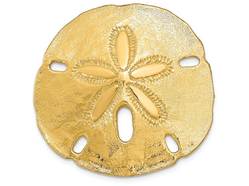 FJC Finejewelers 14k Yellow Gold Polished Fits Up To 10mm 8mm Medium Sand Dollar Slide Charm