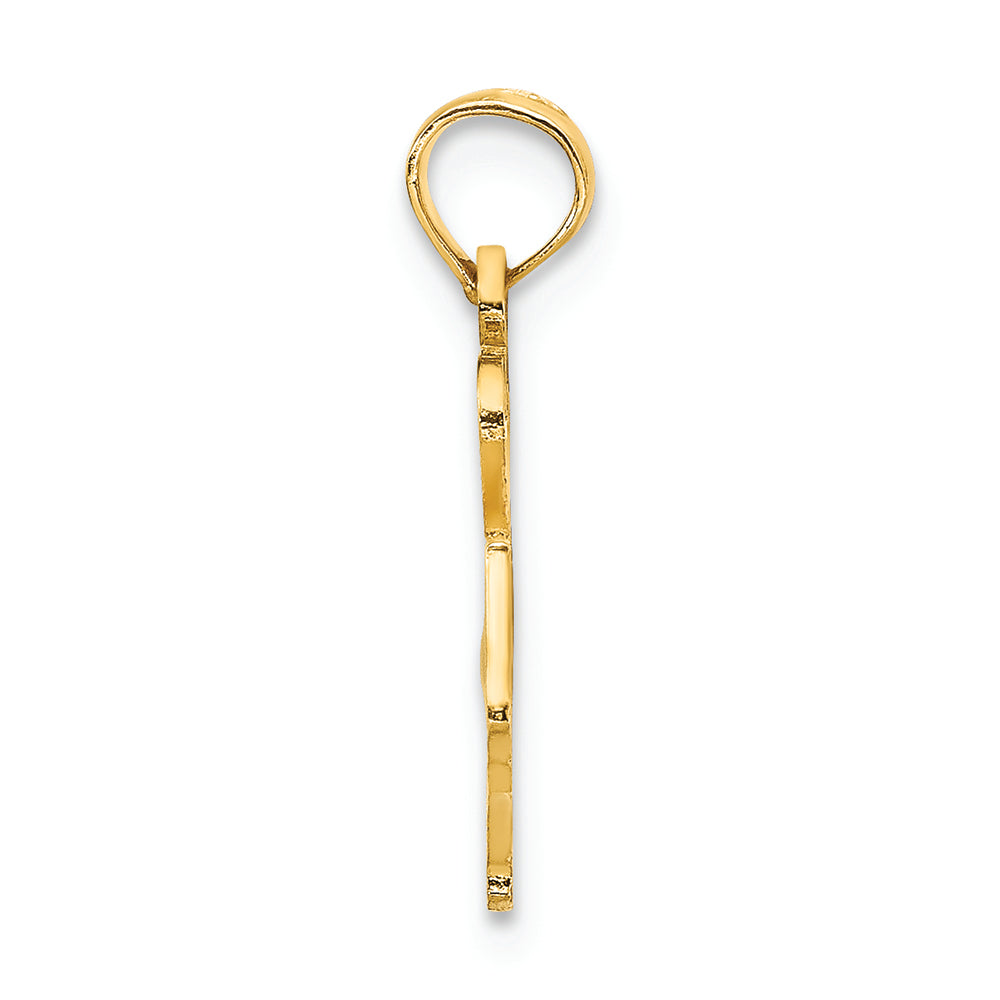 FJC Finejewelers 14k Yellow Gold Solid North Carolina State Charm