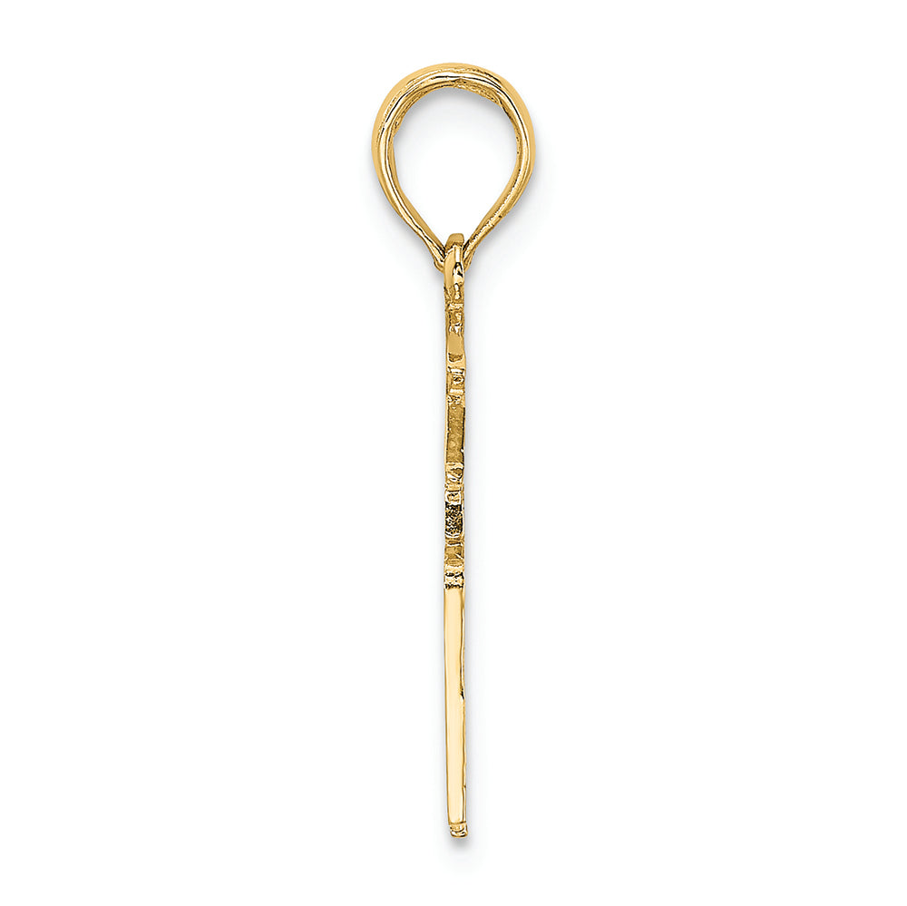 FJC Finejewelers 14k Yellow Gold Registered Nurse Charm