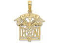 FJC Finejewelers 14k Yellow Gold Registered Nurse Charm