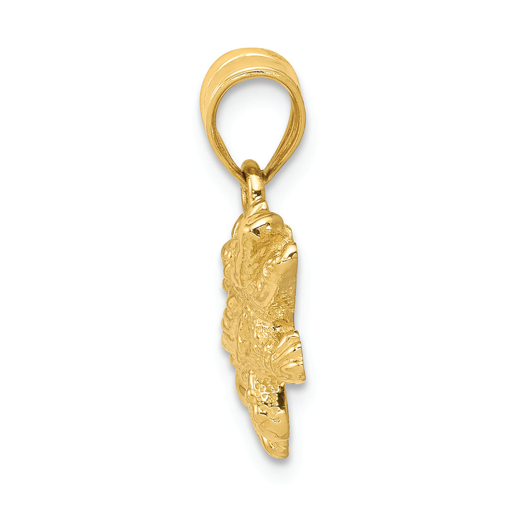 FJC Finejewelers 14k Yellow Gold Solid Polished Open-backed Crocodile Charm