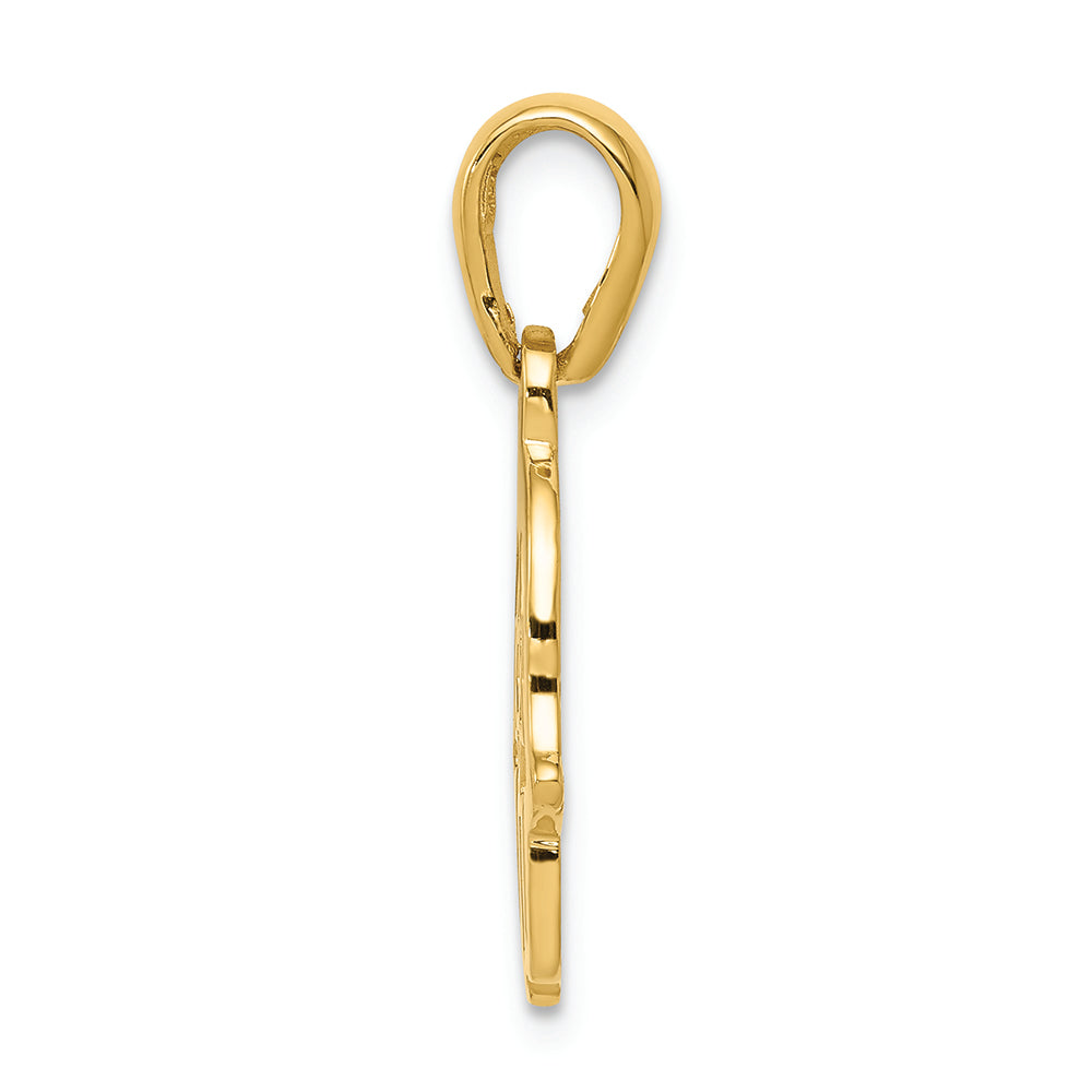FJC Finejewelers 14k Yellow Gold Star Of David Chamseh Charm