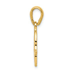 FJC Finejewelers 14k Yellow Gold Star Of David Chamseh Charm