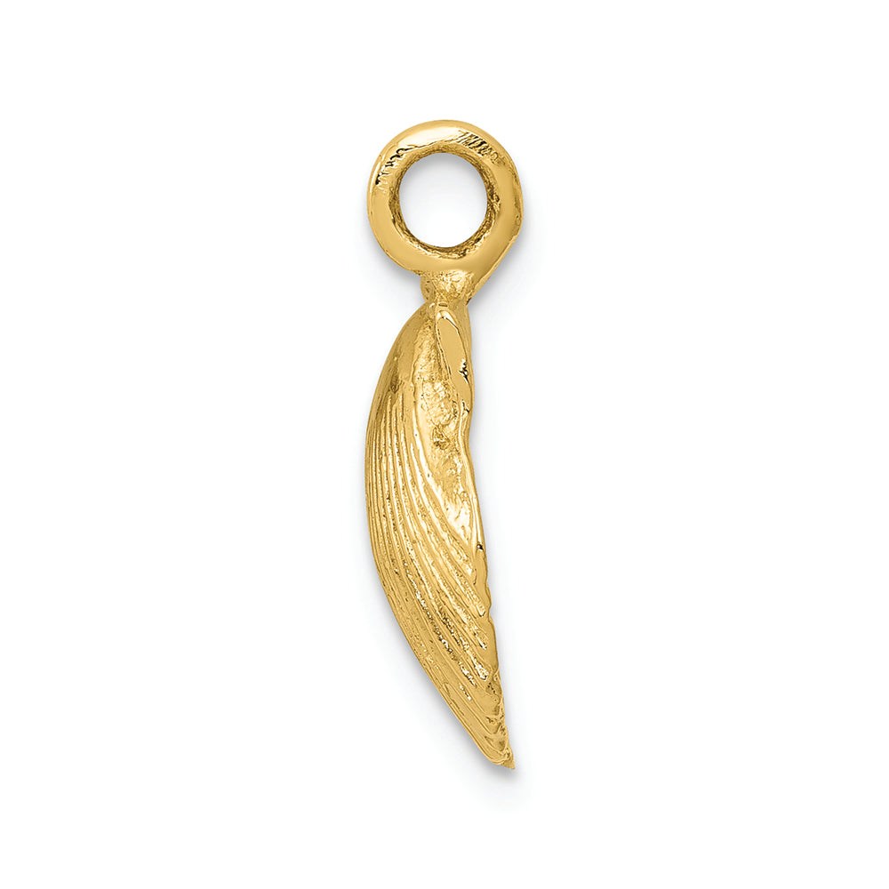 FJC Finejewelers 14k Yellow Gold Seashell Charm