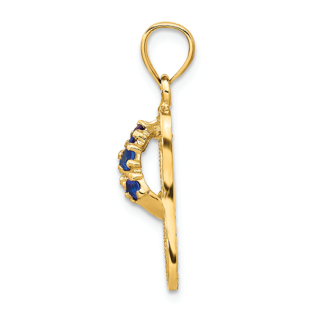 FJC Finejewelers 14k Yellow Gold September CZ Birth Month Stone Flip Flop Charm