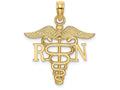 FJC Finejewelers 14k Yellow Gold Rn Caduceus Charm