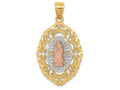 FJC Finejewelers 14 Kt Tri Color Gold Our Lady Of Guadalupe Charm