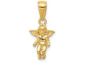 FJC Finejewelers 14k Yellow Gold Small Guardian Angel Charm