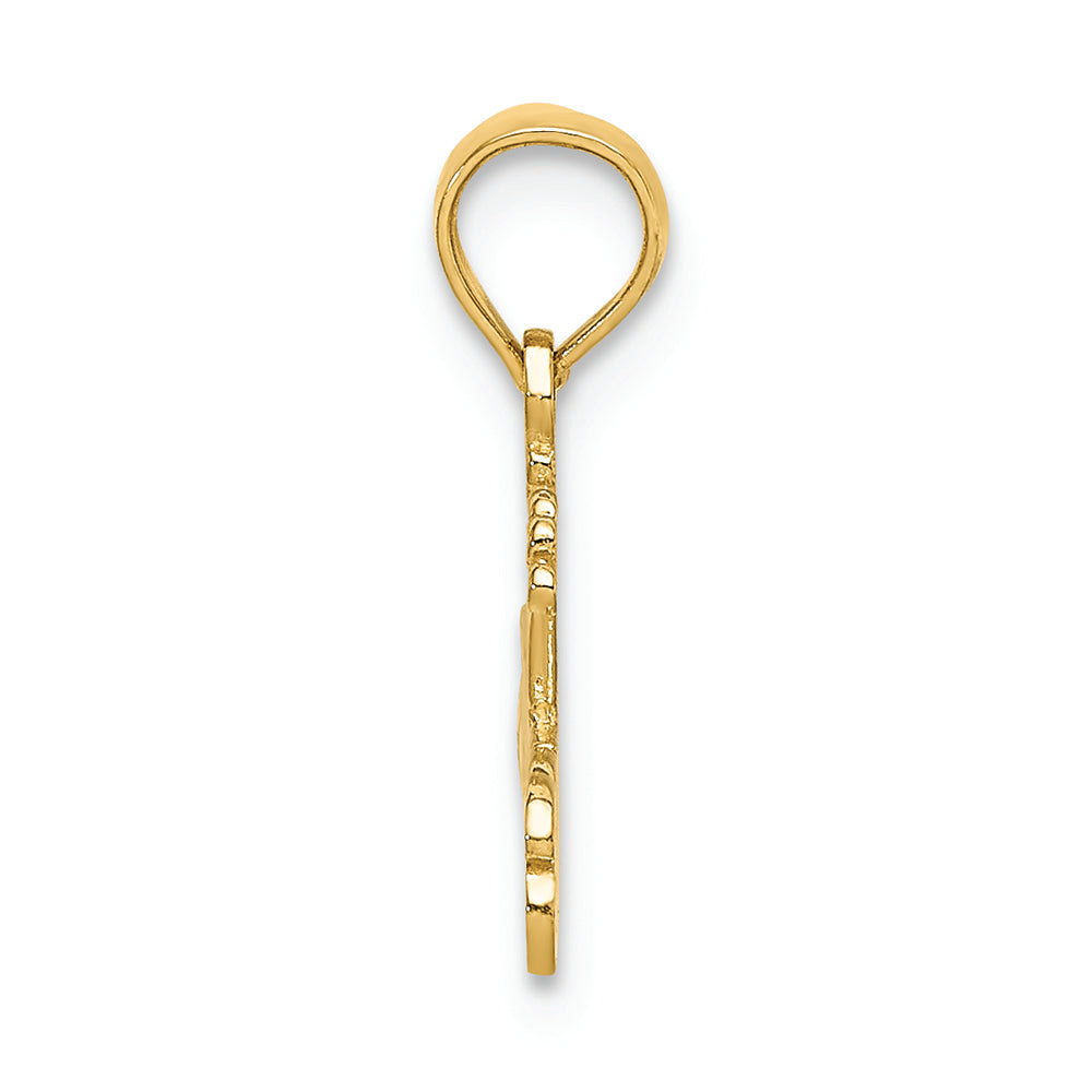 FJC Finejewelers 14k Yellow Gold #1 Princess Charm