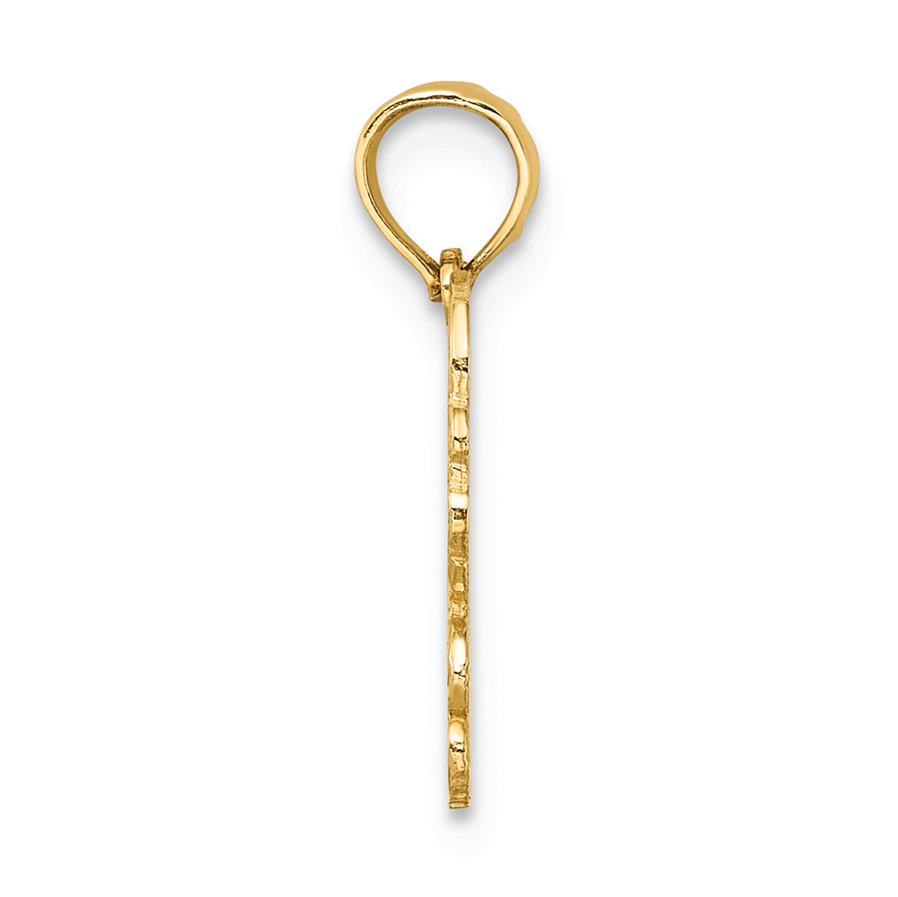 FJC Finejewelers 14k Yellow Gold 100% Cancer Charm