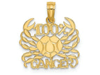 FJC Finejewelers 14k Yellow Gold 100% Cancer Charm