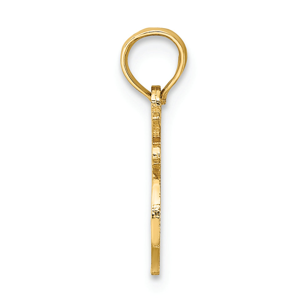 FJC Finejewelers 14k Yellow Gold 100% Leo Charm