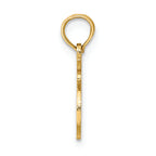 FJC Finejewelers 14k Yellow Gold 100% Leo Charm