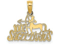 FJC Finejewelers 14k Yellow Gold 100% Sagittarius Charm