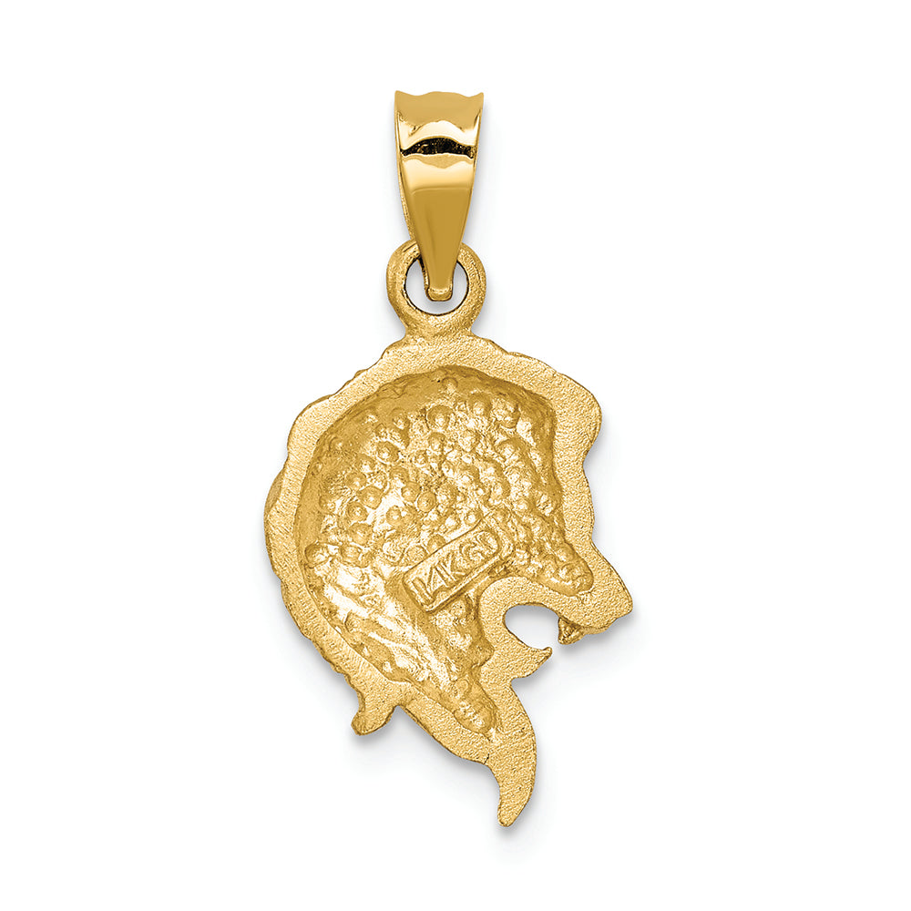 FJC Finejewelers 14k Yellow Gold Brushed Bright Cut Lion Head Charm