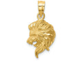 FJC Finejewelers 14k Yellow Gold Brushed Bright Cut Lion Head Charm