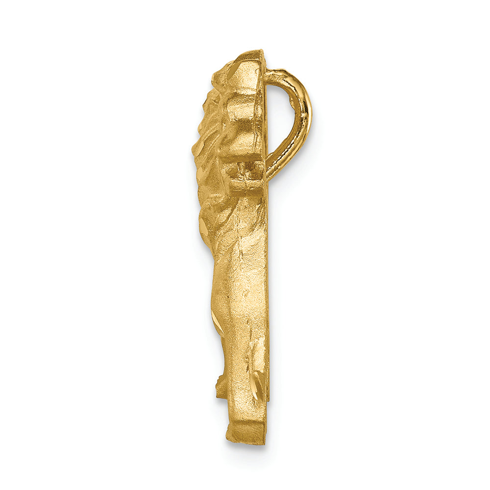 FJC Finejewelers 14k Yellow Gold Brushed Bright Cut Lion Chain Slide Charm
