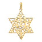 FJC Finejewelers 14k Yellow Gold Star Of David 12 Tribes Charm
