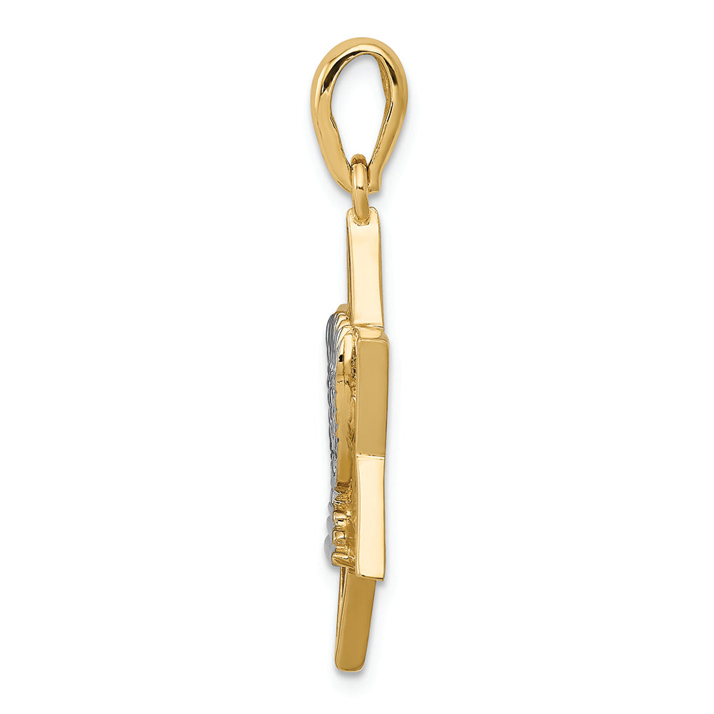 FJC Finejewelers 14k Yellow Gold with Rhodium Solid Menorah In Star Of David Charm