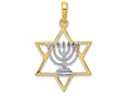 FJC Finejewelers 14k Yellow Gold with Rhodium Solid Menorah In Star Of David Charm