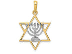 FJC Finejewelers 14k Yellow Gold with Rhodium Solid Menorah In Star Of David Charm
