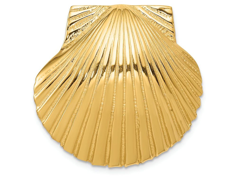 FJC Finejewelers 14k Yellow Gold Fits Up To 10mm 8mm Medium Scallop Shell Slide Charm