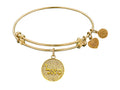 Angelica Collection Non-antique Yellow Stipple Finish Brass prosperity Shema-or Expandable Bangle