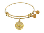 Angelica Collection Non-antique Yellow Stipple Finish Brass prosperity Shema-or Expandable Bangle