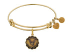 Angelica Collection Brass with Yellow Finish Proud Daughter U.S. Air Force Expandable Bangle