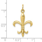 FJC Finejewelers 10 kt Yellow Gold Themed Hollow Fleur De Lis Charm 30 mm x 18 mm