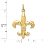 FJC Finejewelers 10 kt Yellow Gold Themed Solid Fleur de Lis 3-D Charm 30 mm x 20 mm
