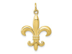 FJC Finejewelers 10 kt Yellow Gold Themed Solid Fleur de Lis 3-D Charm 30 mm x 20 mm