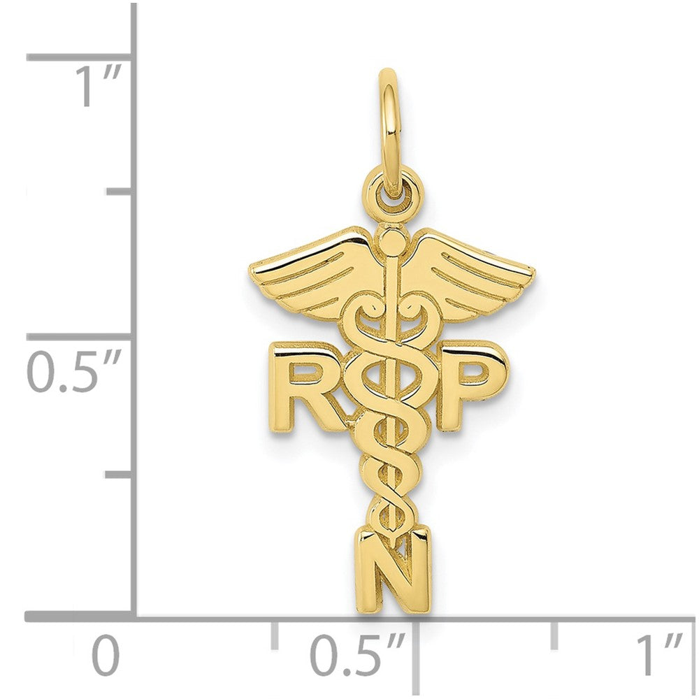 FJC Finejewelers 10 kt Yellow Gold Themed Registered Nurse Practitioner Charm 25 mm x 15 mm