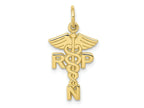 FJC Finejewelers 10 kt Yellow Gold Themed Registered Nurse Practitioner Charm 25 mm x 15 mm