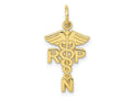 FJC Finejewelers 10 kt Yellow Gold Themed Registered Nurse Practitioner Charm 25 mm x 15 mm
