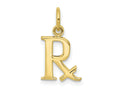 FJC Finejewelers 10 kt Yellow Gold Themed Prescription Symbol RX Charm 22 mm x 10 mm
