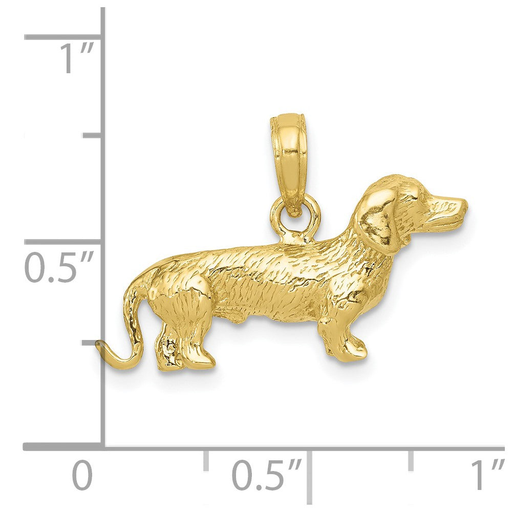 FJC Finejewelers 10 kt Yellow Gold Solid Polished 3-Dimensional Wire Haired Dachshund Charm 17 mm x 25 mm