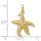 FJC Finejewelers 10 kt Yellow Gold Themed Polished Open-Backed Starfish Charm 24 mm x 20 mm