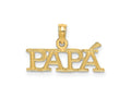 FJC Finejewelers 10 kt Yellow Gold PAPA Charm 11 x 20 mm