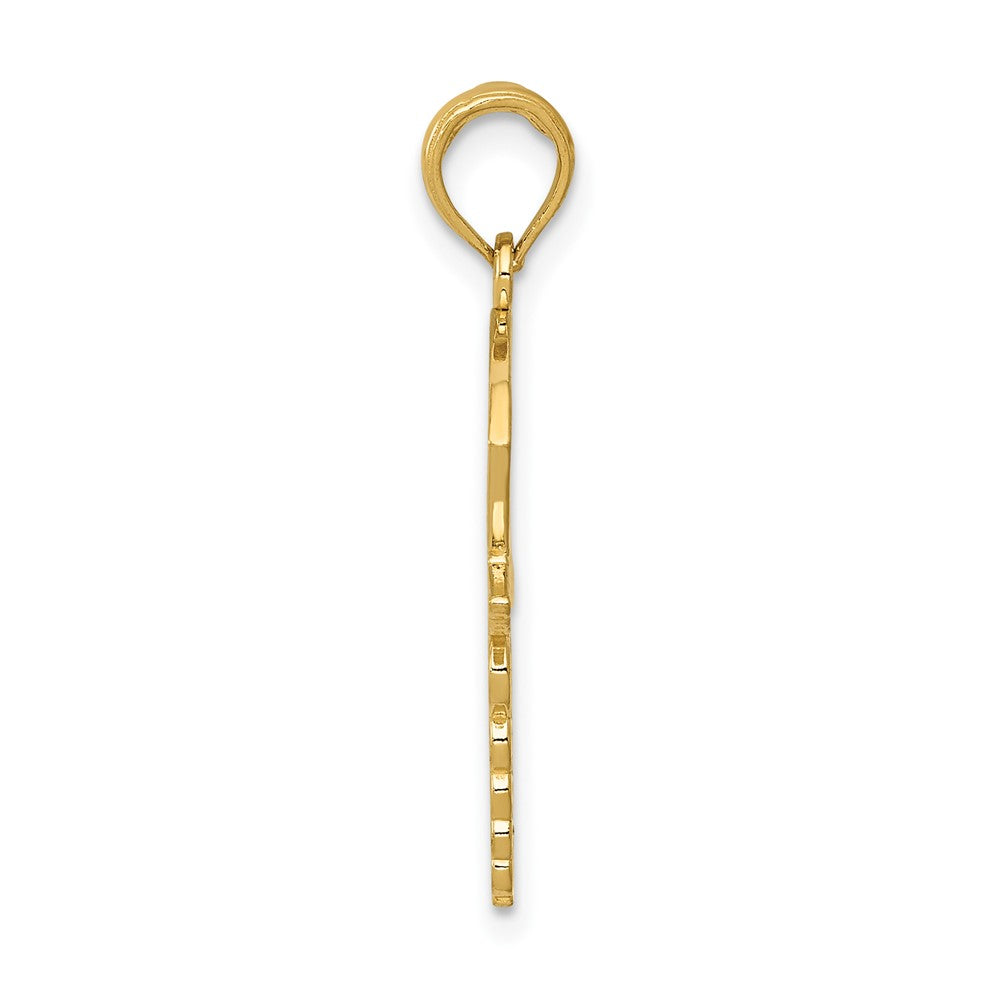 FJC Finejewelers 10 kt Yellow Gold Caduceus with Nurses Cap Charm 30 x 15 mm