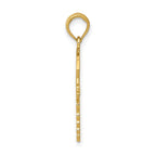 FJC Finejewelers 10 kt Yellow Gold Caduceus with Nurses Cap Charm 30 x 15 mm