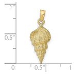 FJC Finejewelers 10 kt Yellow Gold Conch Shell Charm 24 x 9 mm